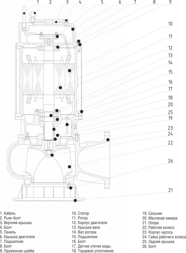 ЦМФ 2.png
