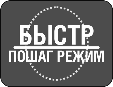 Быстр - пошаг режим.png